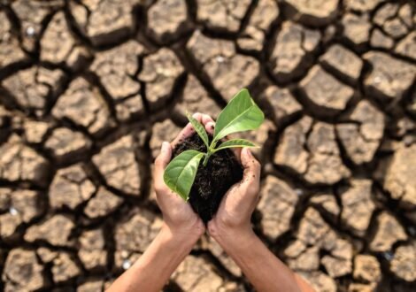 Climate Change and Its Impact on Indian Agriculture