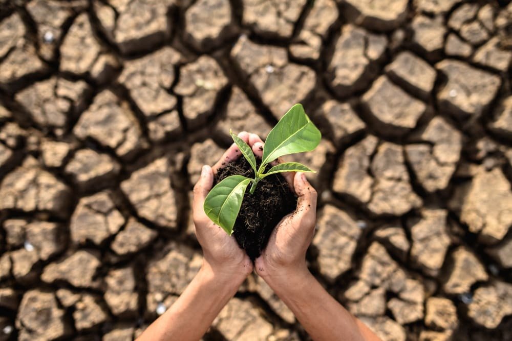 Climate Change and Its Impact on Indian Agriculture