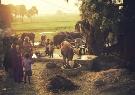 Sustainable Living Practices from Indian Villages