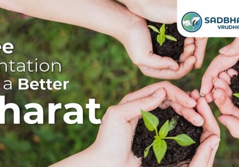Tree Plantation For Better Bharat
