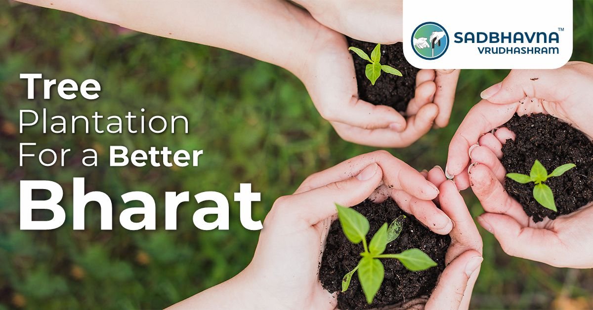 Tree Plantation For Better Bharat