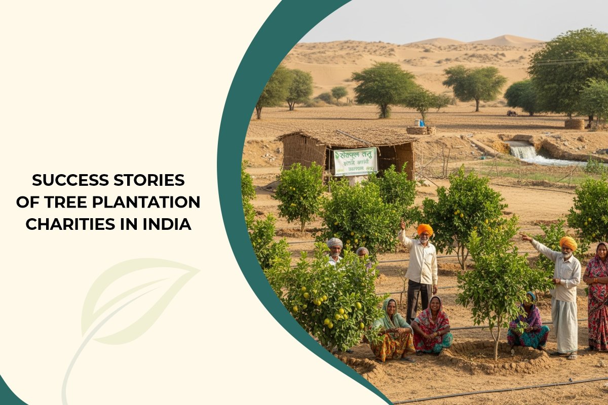 Succesfull Stories Plantation Charities in india