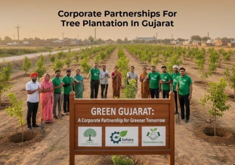 Corporate Partnerships for Tree Plantation in Gujarat