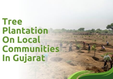 Tree Planation On Local Communities In Gujarat