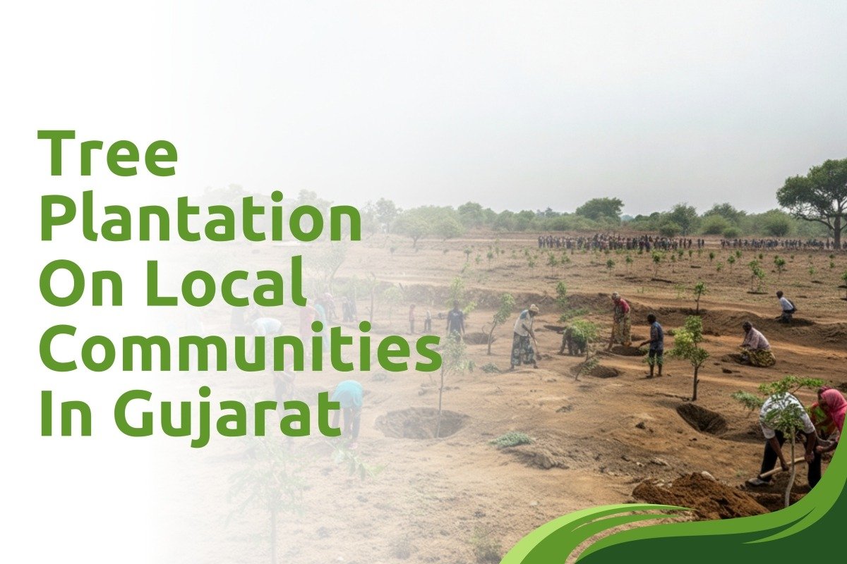 Tree Planation On Local Communities In Gujarat