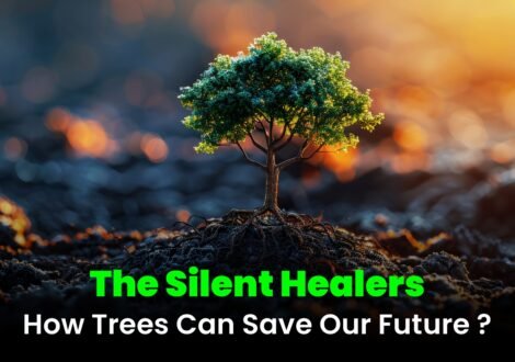 The Silent Healer - How Trees Can Save Our Future?