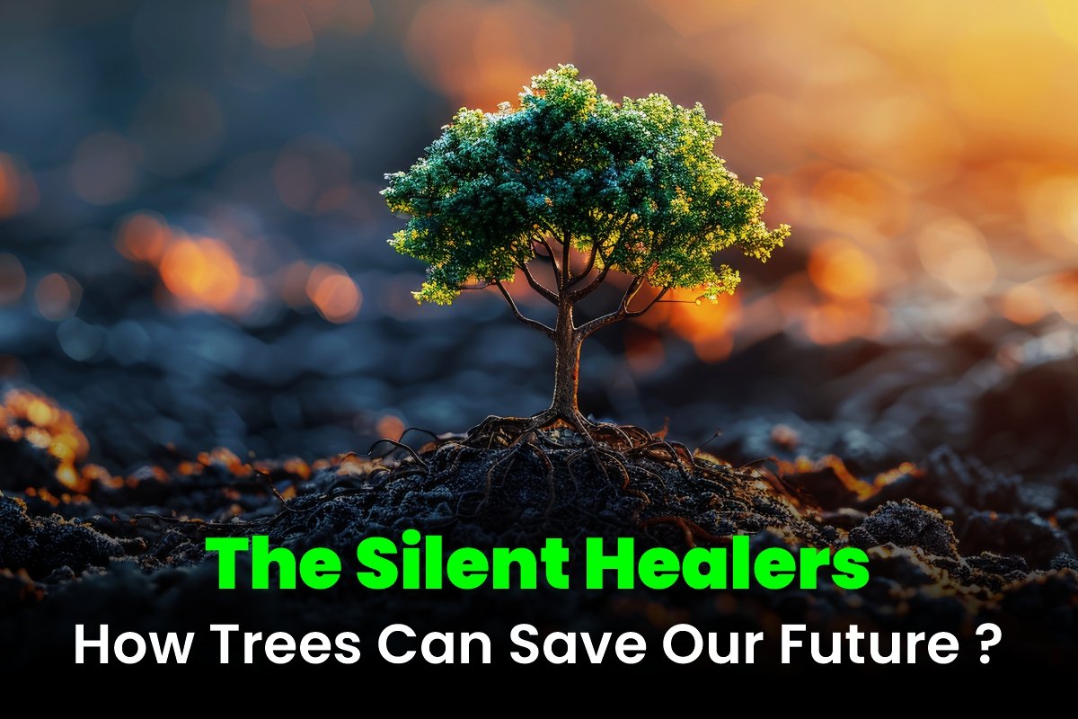 The Silent Healer - How Trees Can Save Our Future?