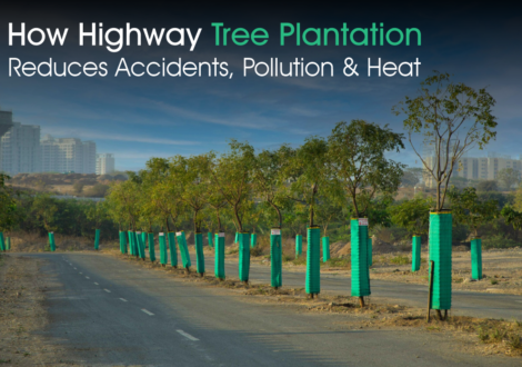 How Highway tree plantation reduces accident, pollution & heat