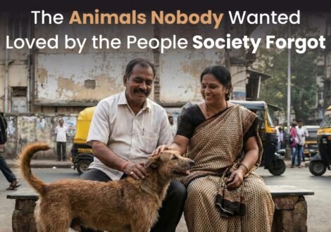 The Animals Nobody Wanted, Loved by the People Society Forgot