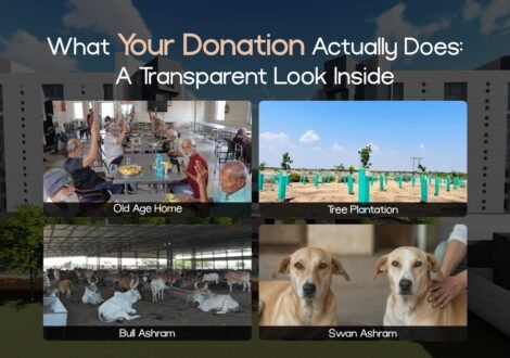 What Your Donation Actually Does: A Transparent Look Inside