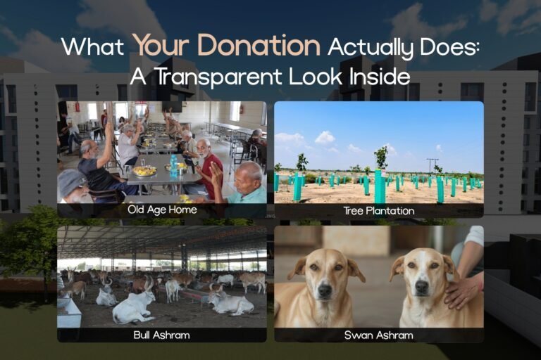 What Your Donation Actually Does: A Transparent Look Inside