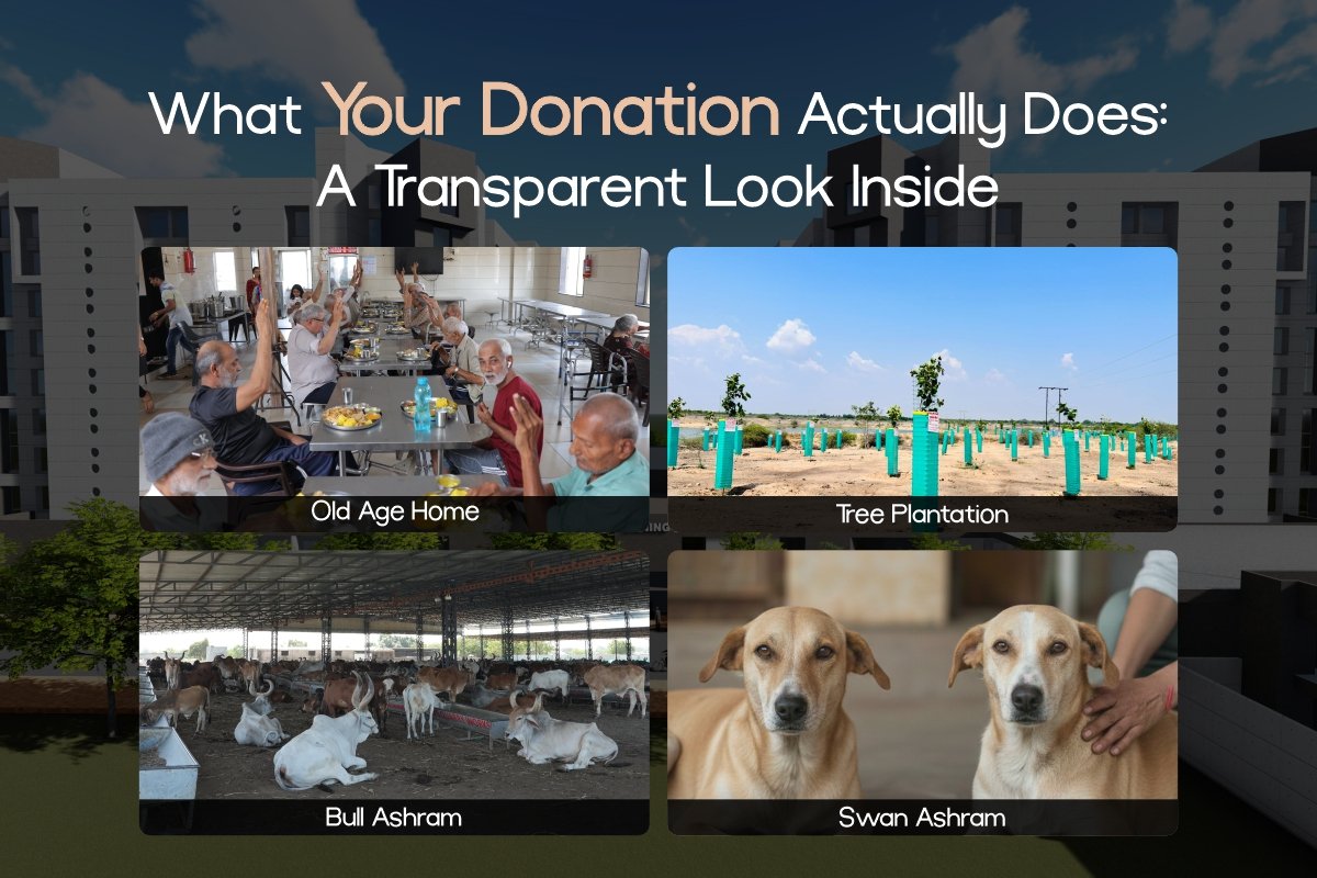 What Your Donation Actually Does: A Transparent Look Inside
